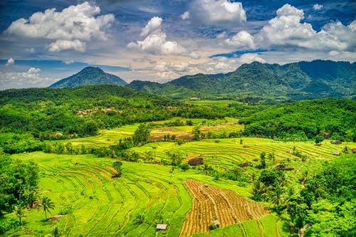 草地和山脉 · 免费素材图片