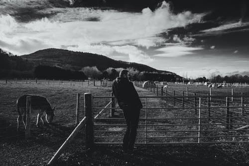 男子倚在栅栏上 · 免费素材图片