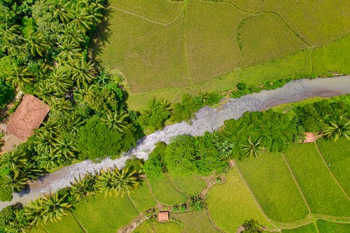 低角度的绿草田的照片 · 免费素材图片