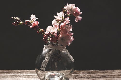 花瓶里的粉红色花瓣花 · 免费素材图片