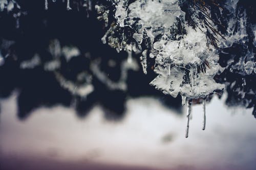 有关ICEE, 下雪的天气, 冬季的免费素材图片