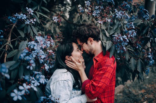 男人抱着女人的脸在蓝色簇开花植物旁边 · 免费素材图片