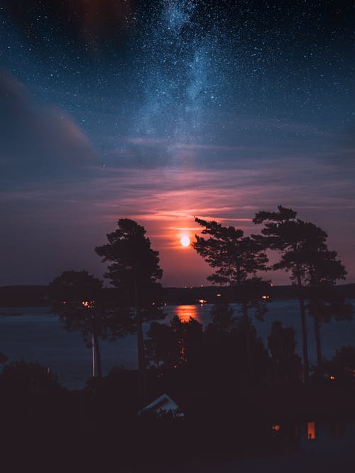 树木的希尔霍特 · 免费素材图片