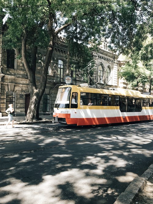 黄色，白色和红色巴士停在树和建筑物旁边 · 免费素材图片