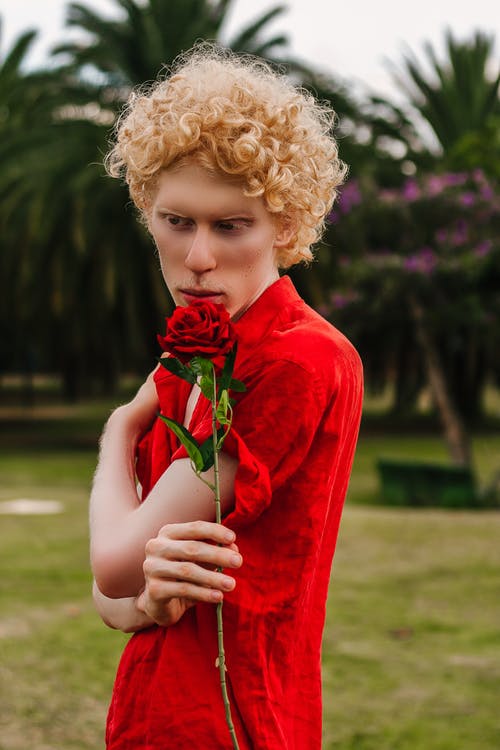 男子手持红色玫瑰花 · 免费素材图片