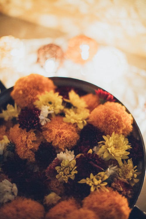 鲜花的选择性聚焦摄影 · 免费素材图片