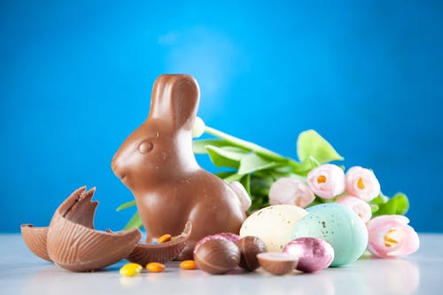 兔子巧克力 · 免费素材图片