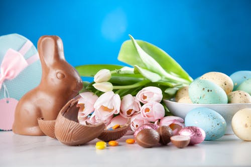 棕色兔子图和鸡蛋之间的白花 · 免费素材图片