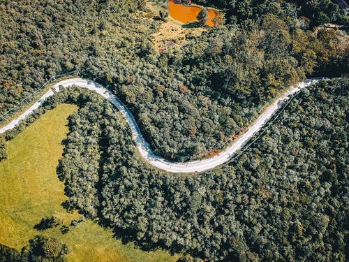 树木之间的弯曲道路的航拍照片 · 免费素材图片