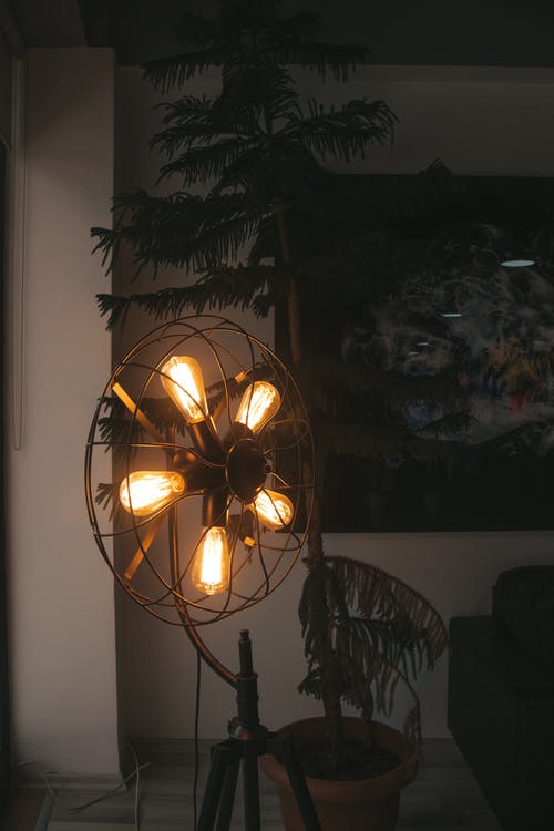 室内松树旁边的风扇状照明落地灯 · 免费素材图片