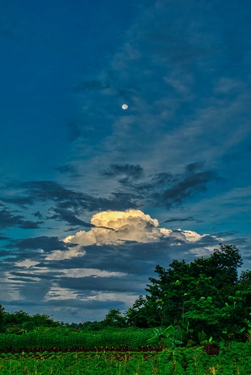 蓝多云的天空下的绿草田 · 免费素材图片