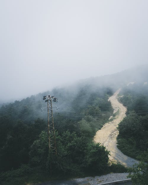 绿树和灰色塔 · 免费素材图片