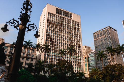 树木旁边的高层建筑 · 免费素材图片