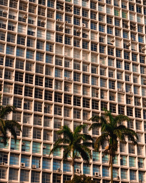棕榈树附近建筑物的照片 · 免费素材图片
