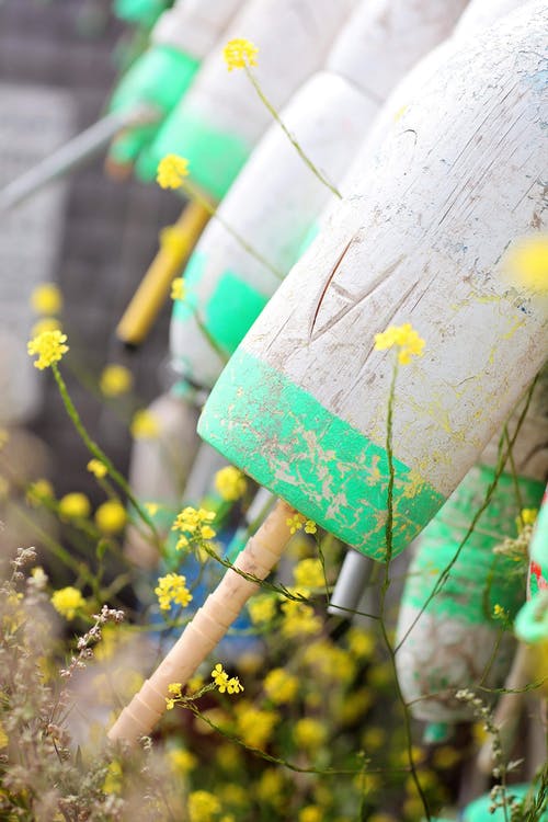 花园里破旧的混凝土锥形容器 · 免费素材图片