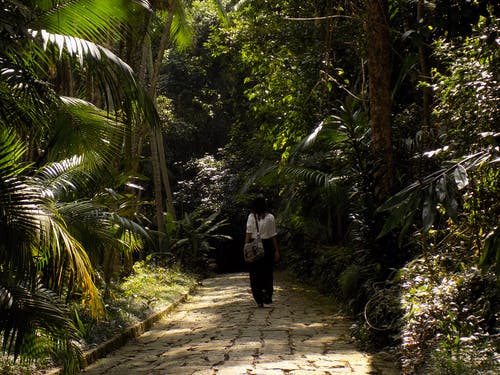 女人站被树木包围 · 免费素材图片