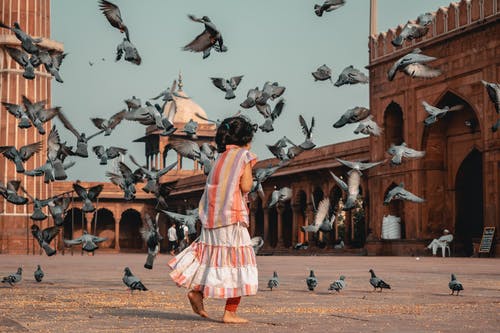 站在飞翔的鸽子面前的女孩 · 免费素材图片