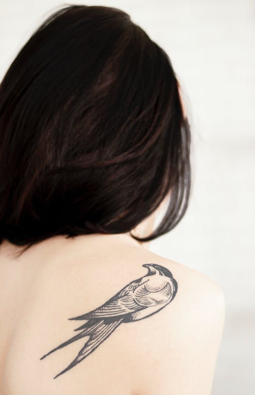 女人的背部，右肩上有鸟纹身的视图 · 免费素材图片