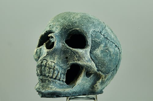 人类头骨 · 免费素材图片