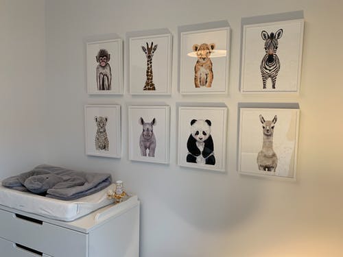 不同种类的动物肖像在墙上 · 免费素材图片