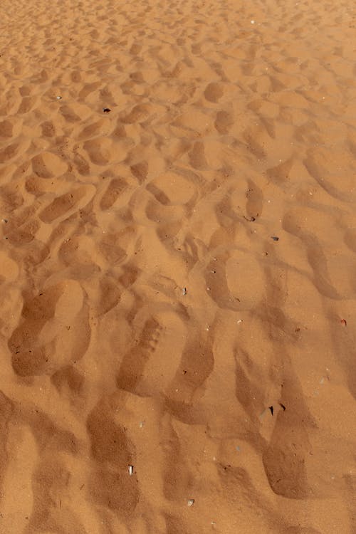 沙丘的视图 · 免费素材图片