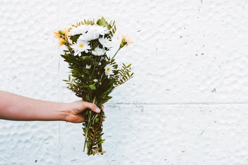 手拿着一束白色的花瓣花瓣的照片 · 免费素材图片