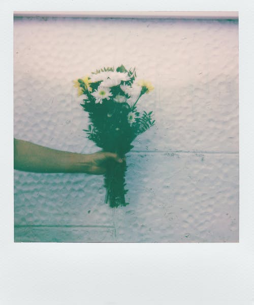 人的手捧花的照片 · 免费素材图片