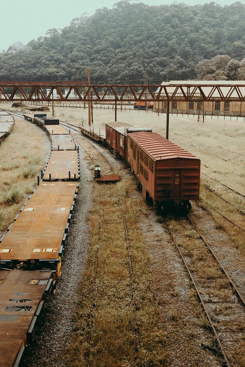 火车在铁路桥下 · 免费素材图片