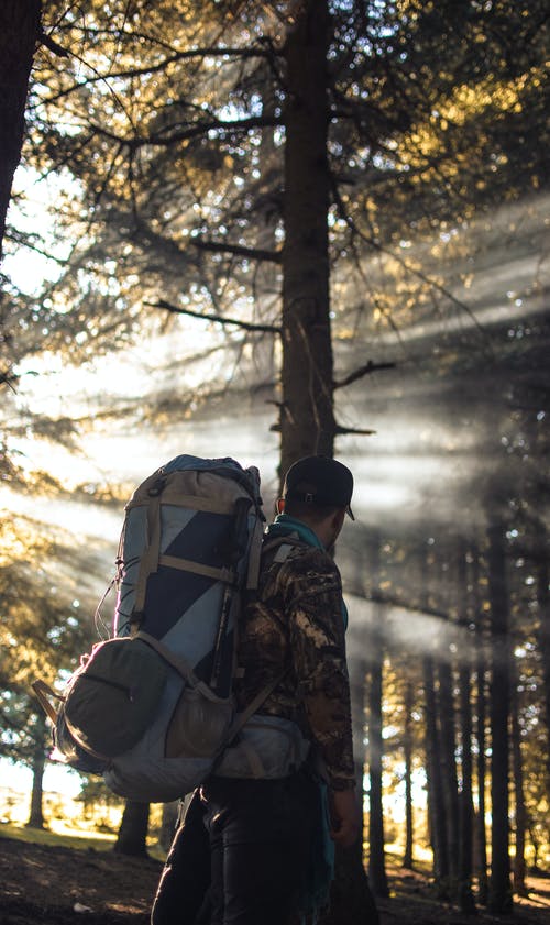 在森林里徒步旅行背包的人 · 免费素材图片