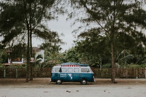 范停在树间 · 免费素材图片