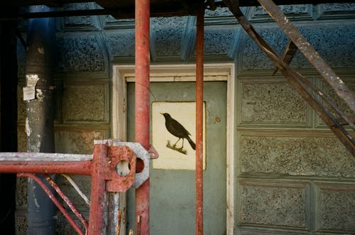 门上的棕鸟画 · 免费素材图片