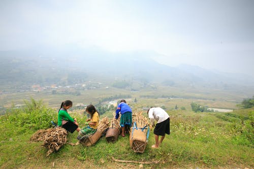 携带柴火的孩子 · 免费素材图片