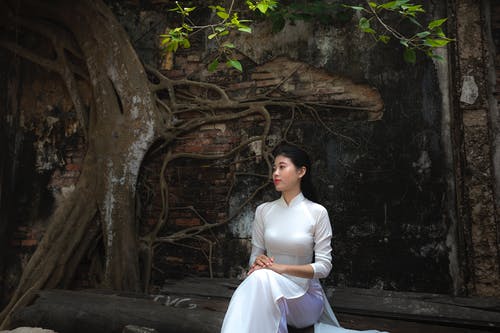女人坐在树上，穿着白色的长袖缎裙 · 免费素材图片