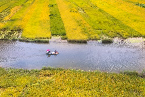 在绿色的原野之间河上划船 · 免费素材图片