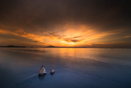 在日落海滩上的两个壁式贝壳 · 免费素材图片