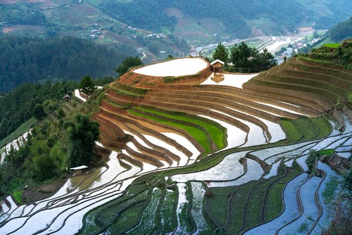 水梯田 · 免费素材图片