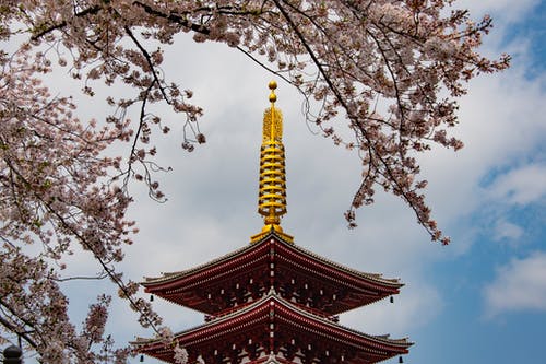 黄塔 · 免费素材图片