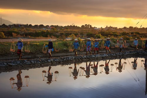 八人提篮 · 免费素材图片