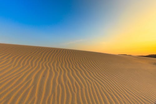 棕沙场 · 免费素材图片