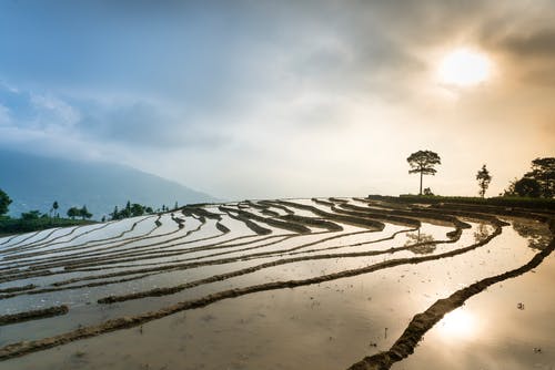 楼梯农场的风景 · 免费素材图片