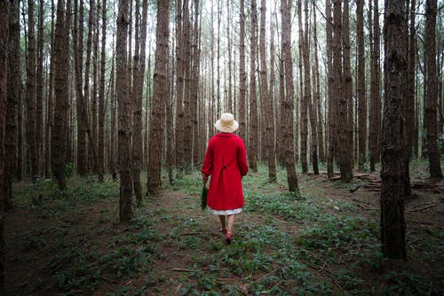 被树木包围的红色外套的女人 · 免费素材图片