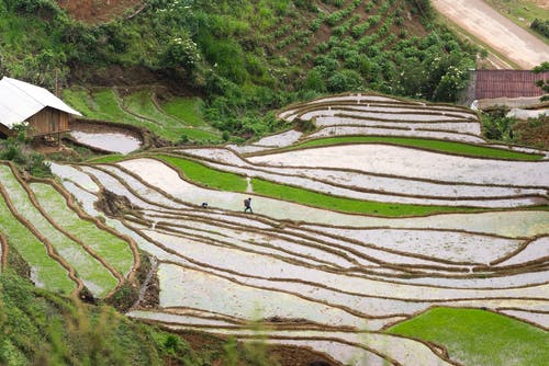 野外风景摄影 · 免费素材图片