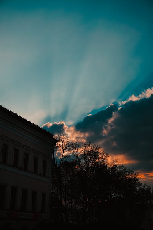 树木附近建筑物的照片 · 免费素材图片