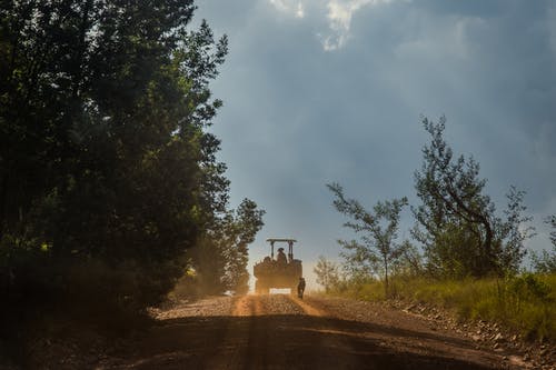 树木附近道路上的黑色拖拉机 · 免费素材图片