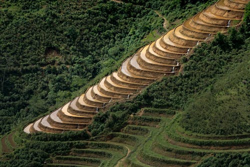 水稻梯田的航拍 · 免费素材图片