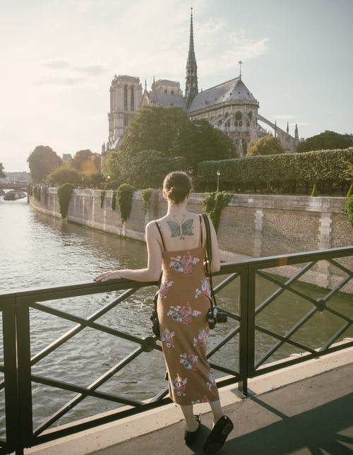 女人站在布朗城堡和水体附近的黑色栏杆上站着 · 免费素材图片