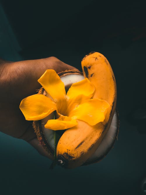 黄色花瓣花和香蕉椰子壳 · 免费素材图片