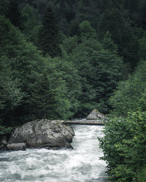 森林摄影河 · 免费素材图片