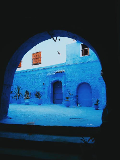 蓝色和白色的墙壁，用外面的花盆 · 免费素材图片