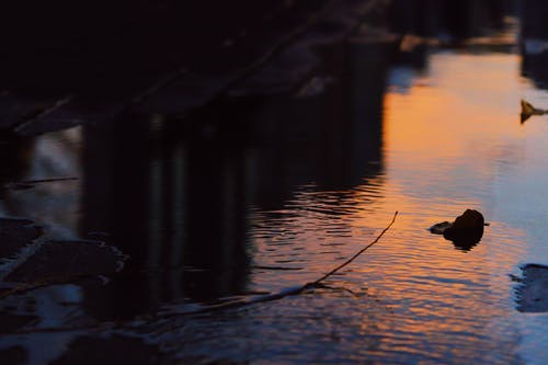 水的选择性聚焦摄影 · 免费素材图片